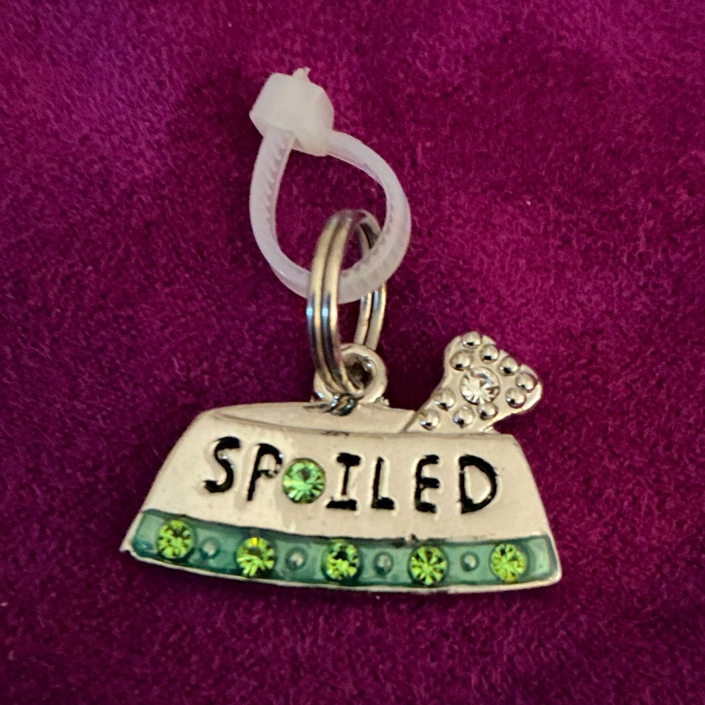 GANZ Pet Collar Charm Tag